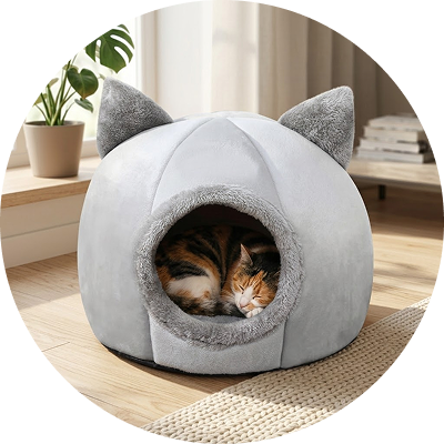 Adorable & Comfortable